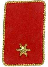 Kragenspiegel BI