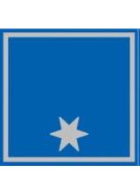 Aufschiebeschlaufen Haupteinsatzleiter Stellvertreter Bez.