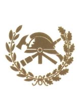 Geschütztes Emblem des LFV SÜDT auf Uniform in Gold