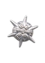 Sternrosette 20 mm Silber
