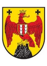 Helmwappen zum Kleben Burgenland