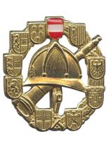 FLA Leistungsabzeichen Bronze