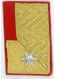 Kragenspiegel STÜTZPUNKT-FW-KDT für Kärnten