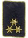 Kragenspiegel HBI d.F. blau für OÖ