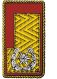 Kragenspiegel VV Stellv. für Vorarlberg