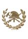 Geschütztes Emblem des LFV SÜDT auf Uniform in Gold
