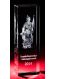 Kristallglas-Pokal Laserturm hoch 65 x 50 x 200 mm